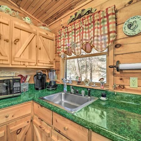 Franklin Cabin With Porch Near Hiking And Waterfalls! Экстерьер фото